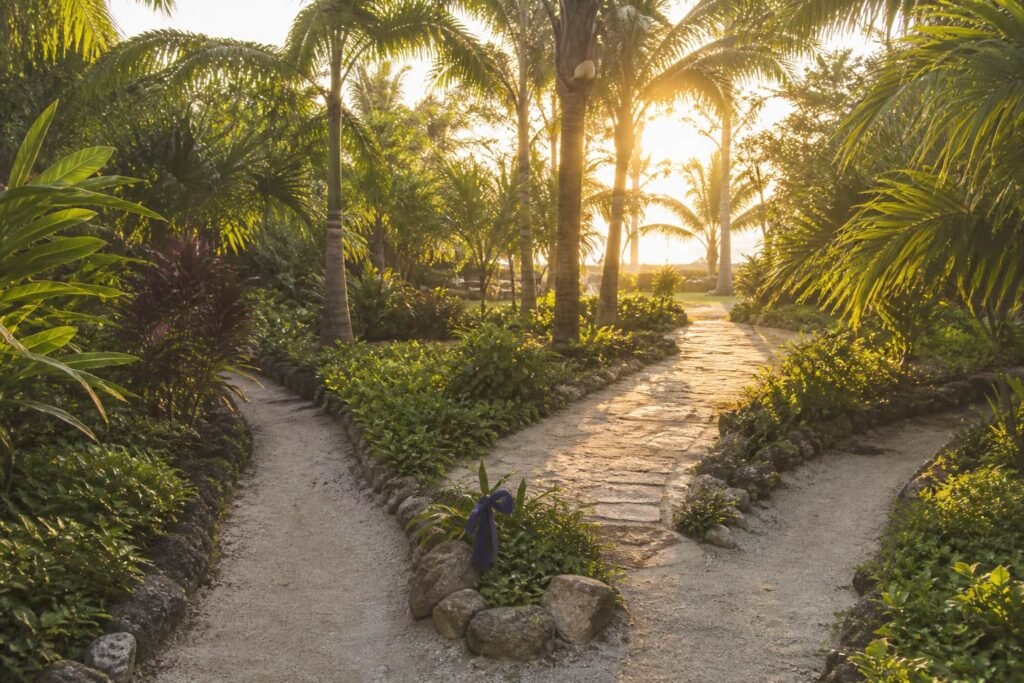 Two garden paths joining into one wider path beneath Caribbean palms.