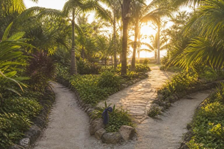 Two garden paths joining into one wider path beneath Caribbean palms.